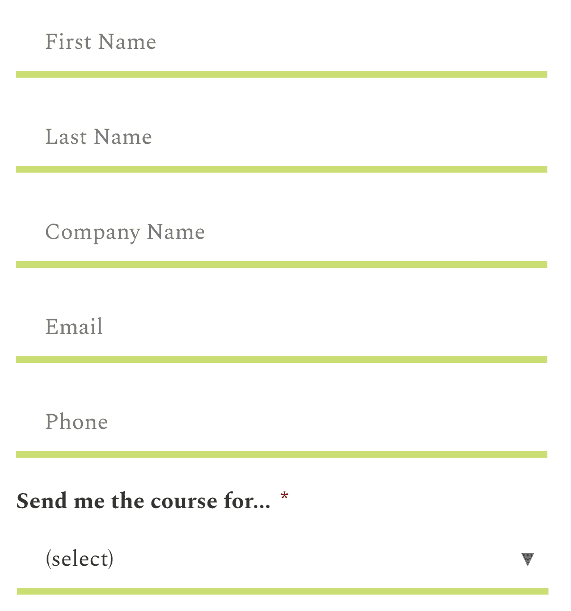 Form with 5 fields that use a placeholder rather than a label: first name, last name, company name, email, phone.